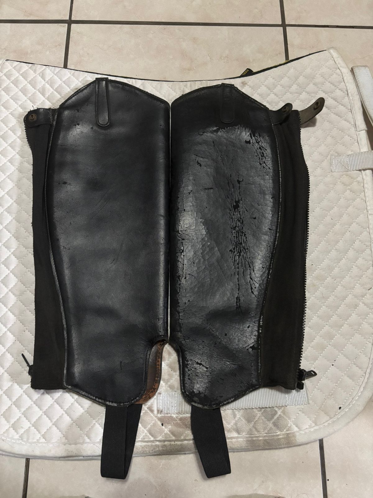 Black Adult Gaiters XL