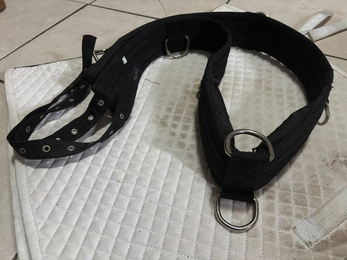 Capriole Black Lunging Roller – Small