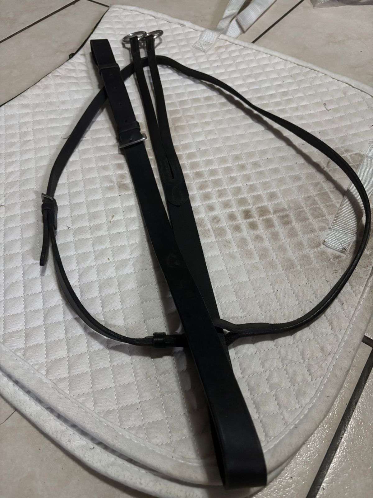 Black Leather Martingale – Full