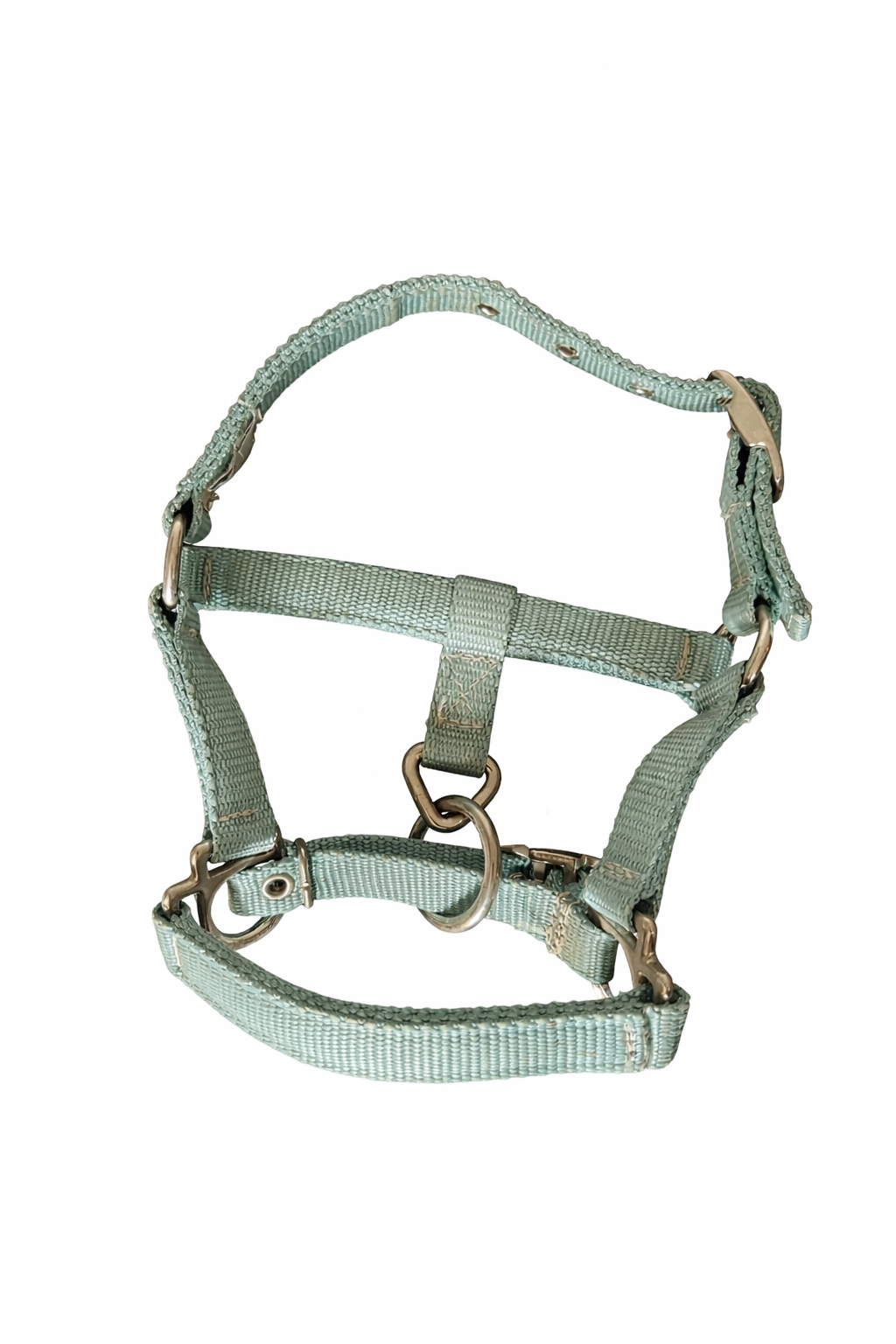 Mini Foal Halter
