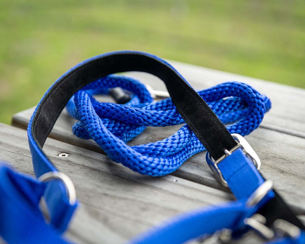 Blue Steel Padded Halter with Lead