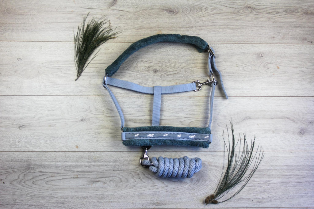 Blue Steel Comfort Halter with Lead