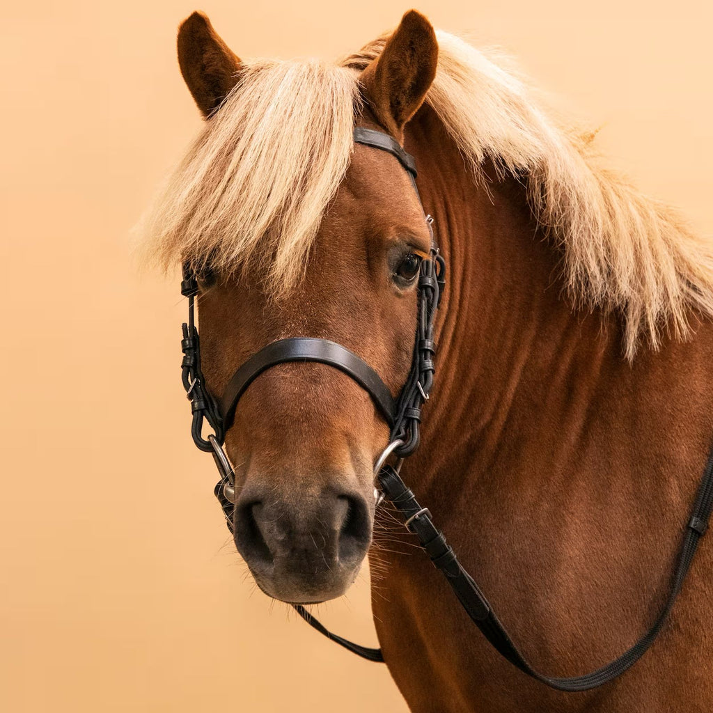 Bridle Cavesson Nose Band - Pony
