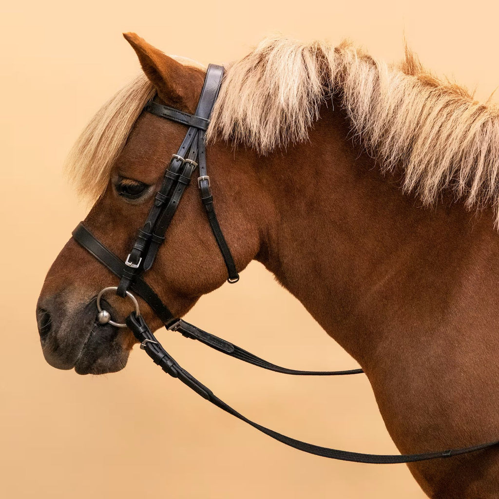Bridle Cavesson Nose Band - Pony