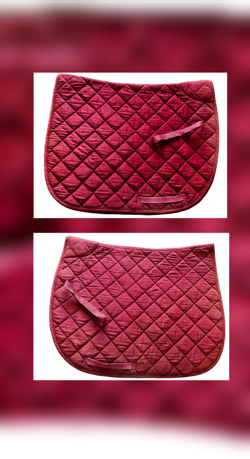 Maroon GP Numnah