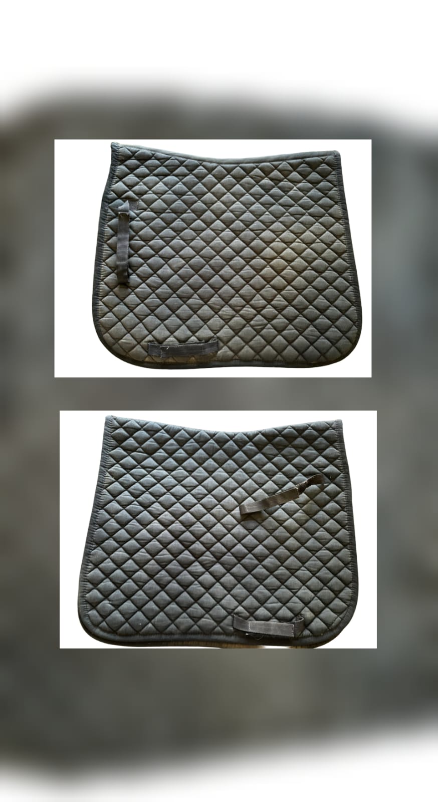 Black Dressage Numnah