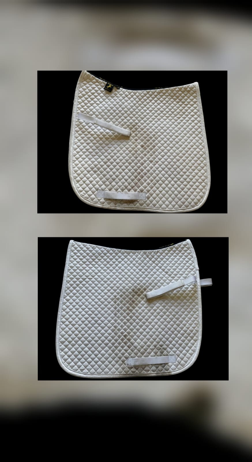 Bartl White Dressage Numnah COB