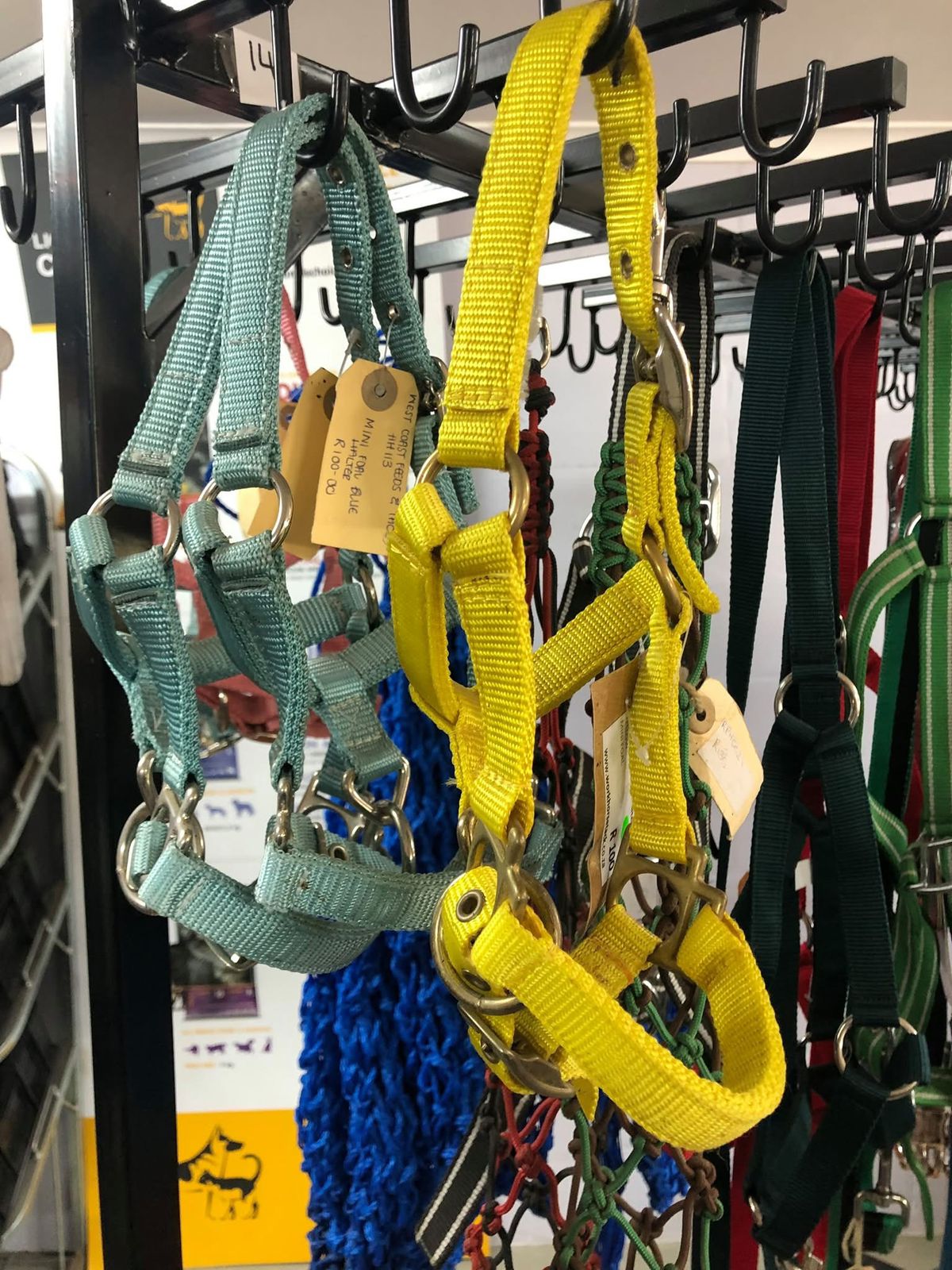 Mini Foal Halter
