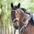 Blue Steel Diamante Bridle - COB
