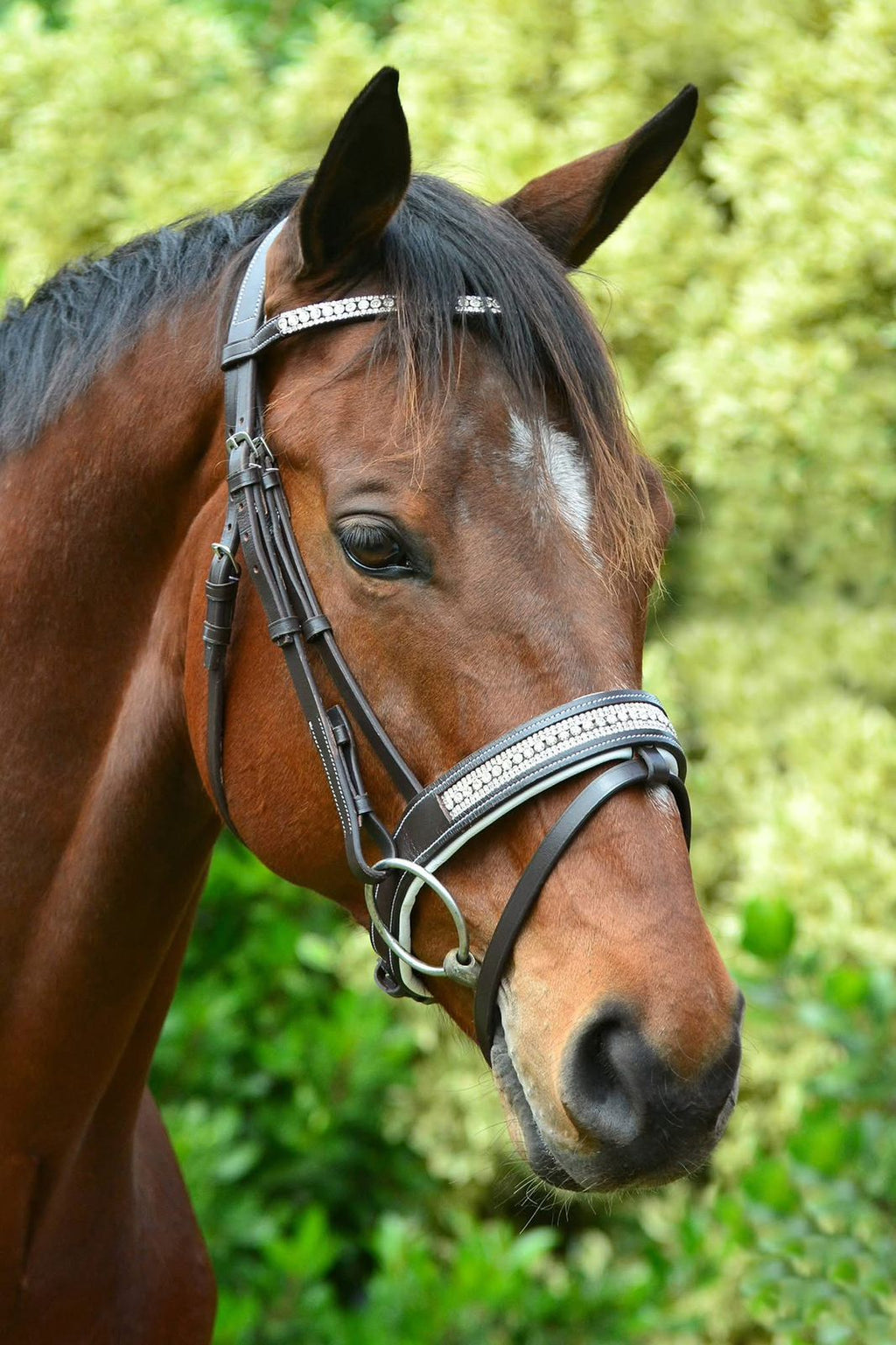 Blue Steel Diamante Bridle - COB