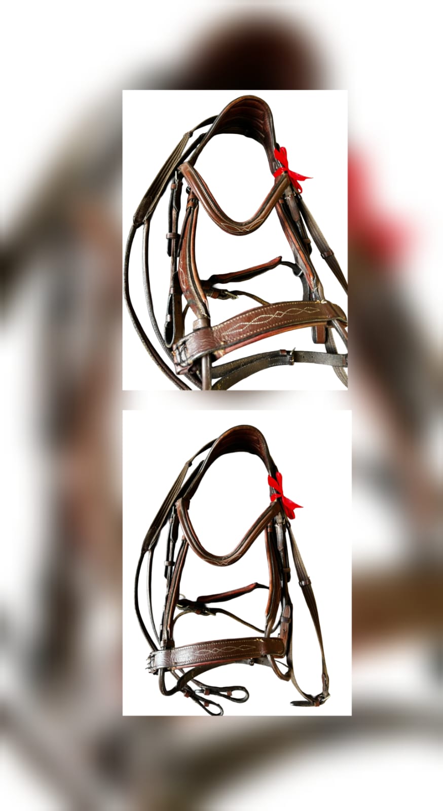KC Dark Tan Relief Bridle - COB