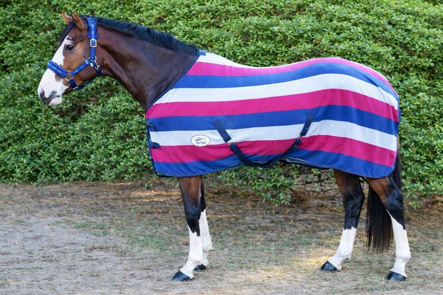 Blue Steel Fleece Blanket