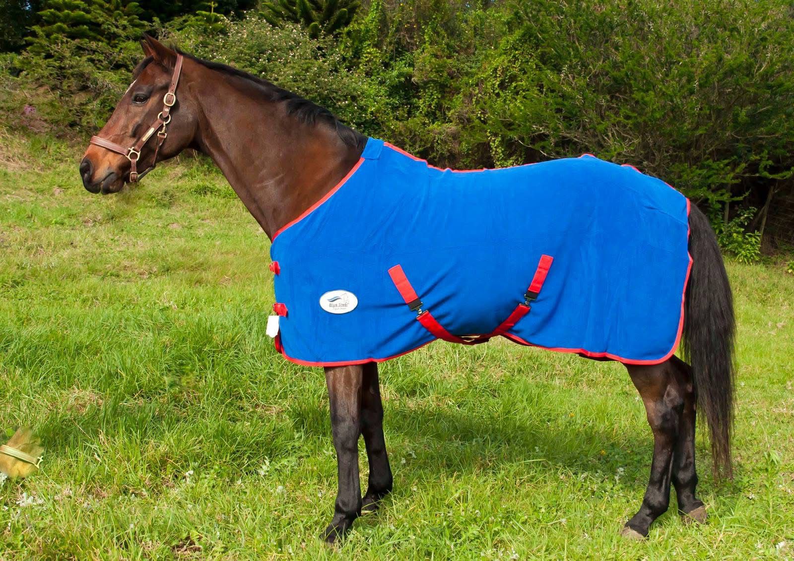 Blue Steel Fleece Blanket